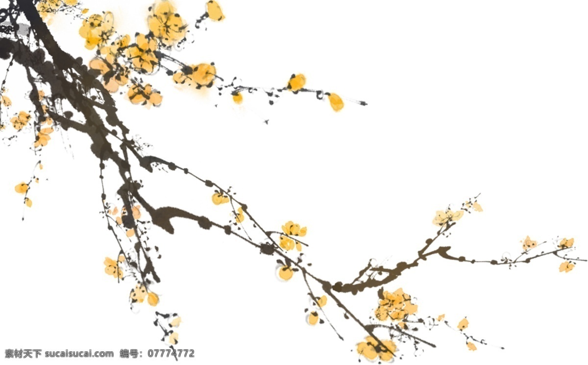 枝头 古风 笔墨 黄花 背景 合成 png格式