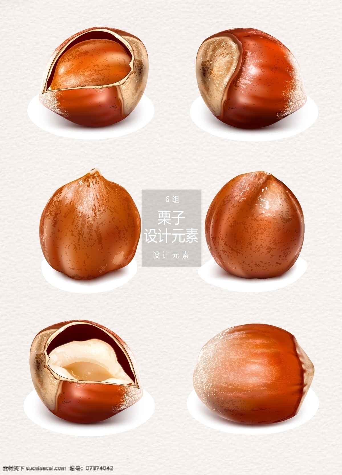 栗子 坚果 元素 设计元素 食物 矢量素材 植物 栗子元素 果实