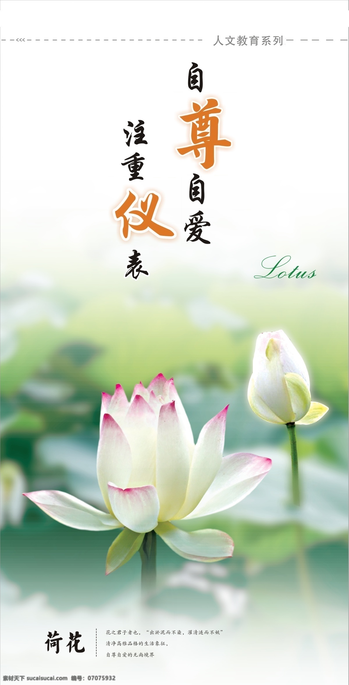 廉政展板 荷花 自尊自爱 注重仪表 人文教育 高清 艺术 浅景深 展板模板 展板类