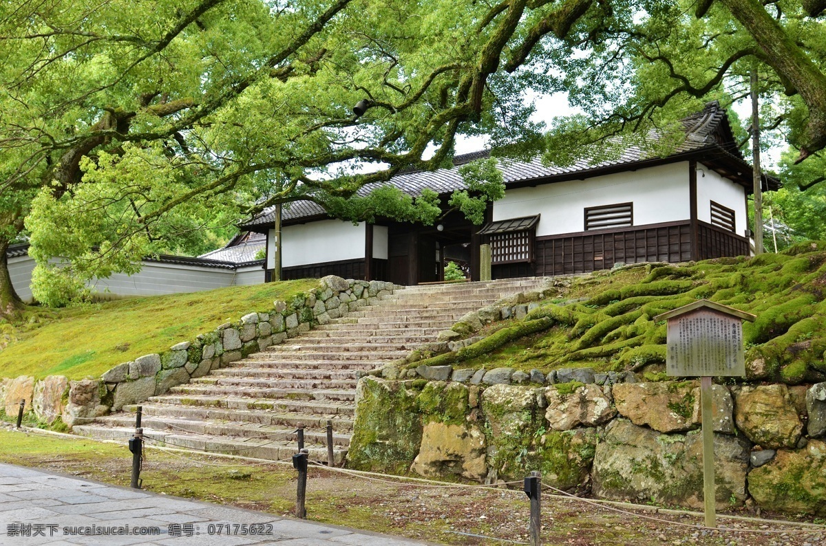 京都 青莲 院 风景