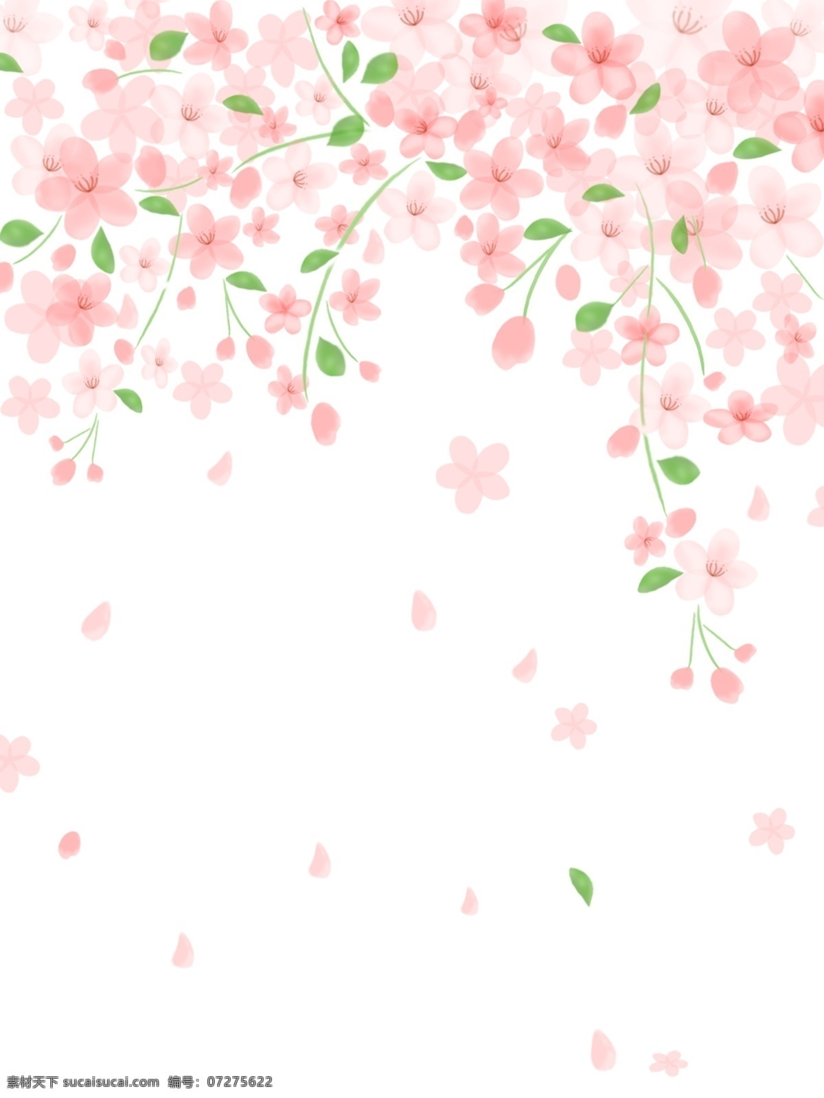 樱花节 樱花 唯美 浪漫 清新 落花 小清新