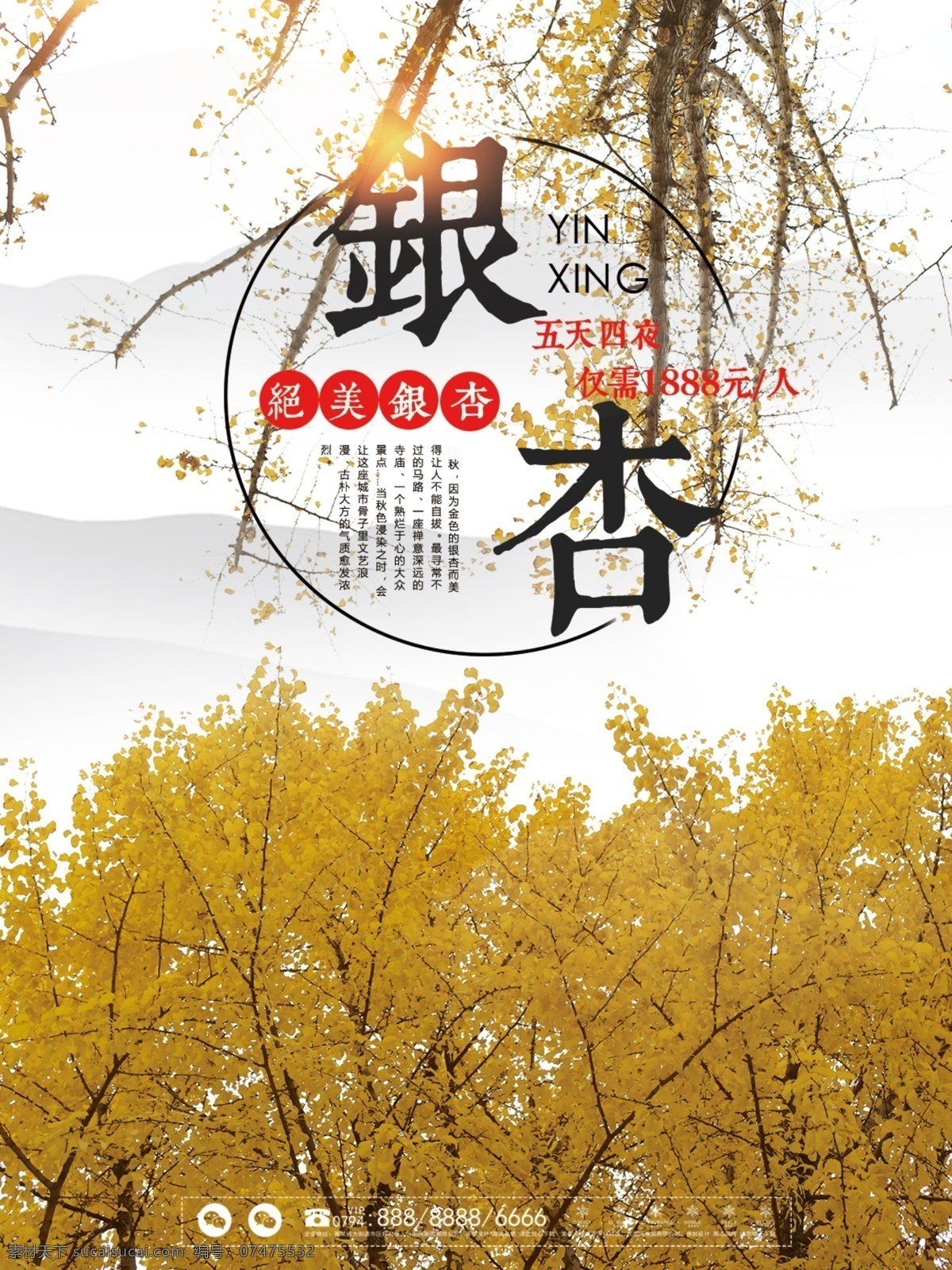 中国 风 简约 大气 银杏 旅游 海报 中国风