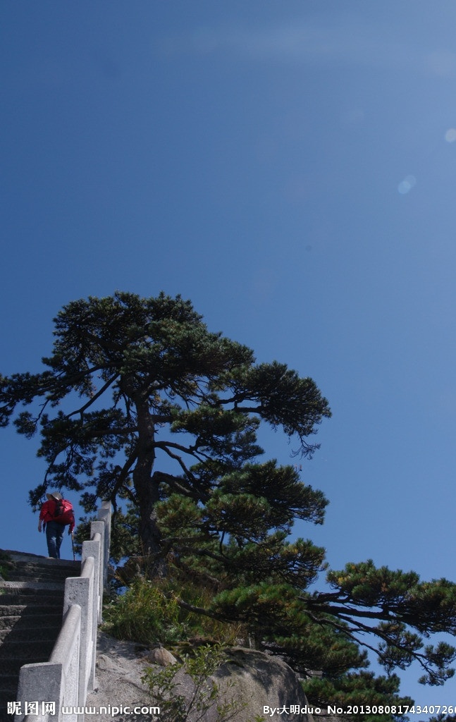黄山松 安徽 黄山 松树 蓝天 莲花峰 台阶 国内旅游 旅游摄影