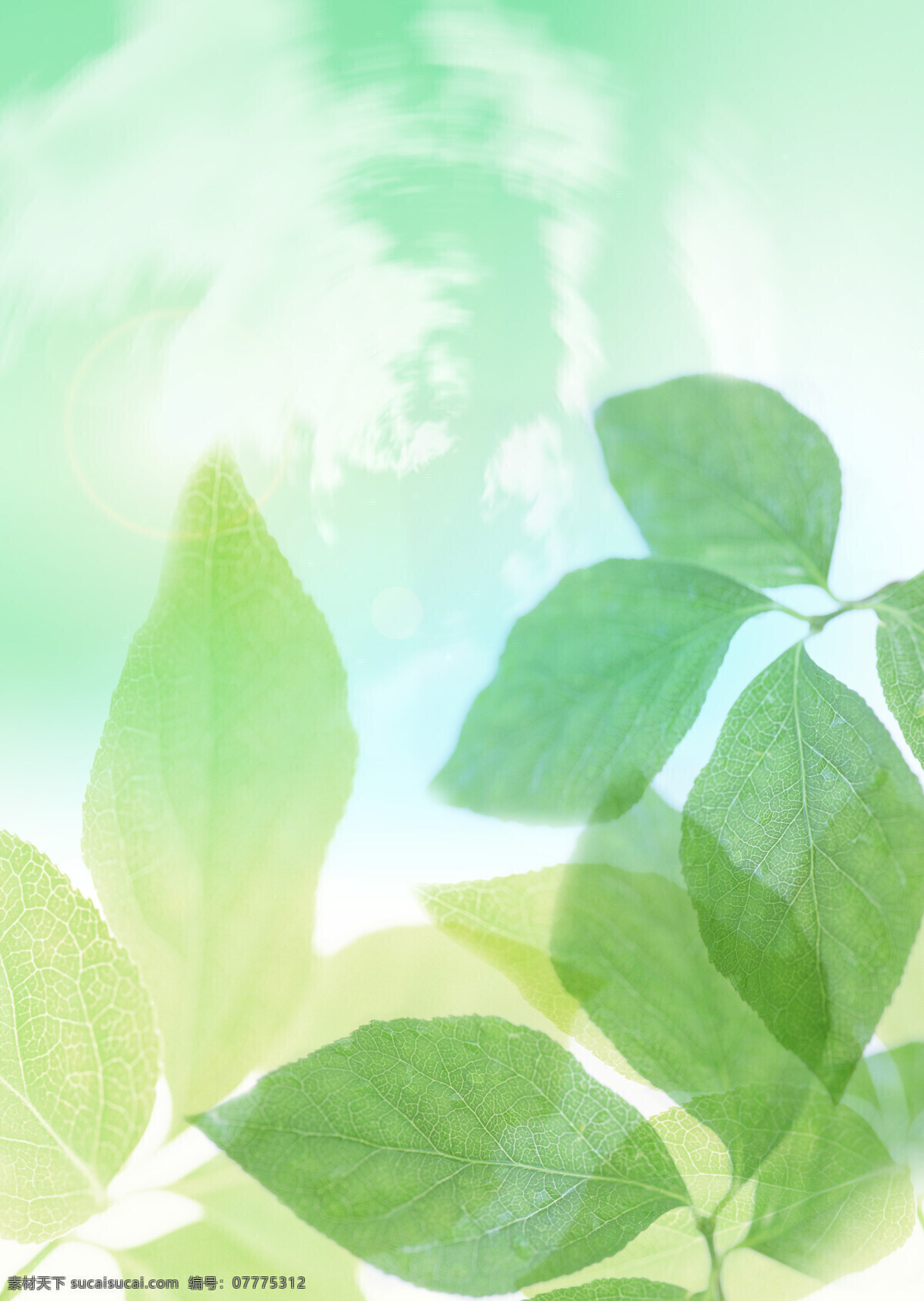 白云 背景 背景底纹 草 底纹边框 底纹模板 花 蓝天 梦幻设计素材 梦幻模板下载 梦幻 水 叶子 水波 水滴 绿色 生命 生机 设计图库 psd源文件