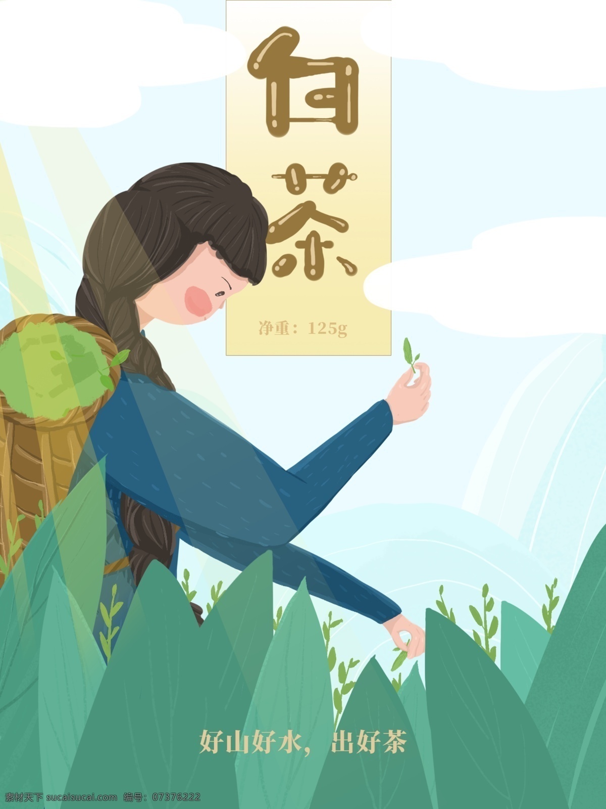 原创 手绘 采茶 姑娘 采 白茶 茶叶 包装 插画 茶