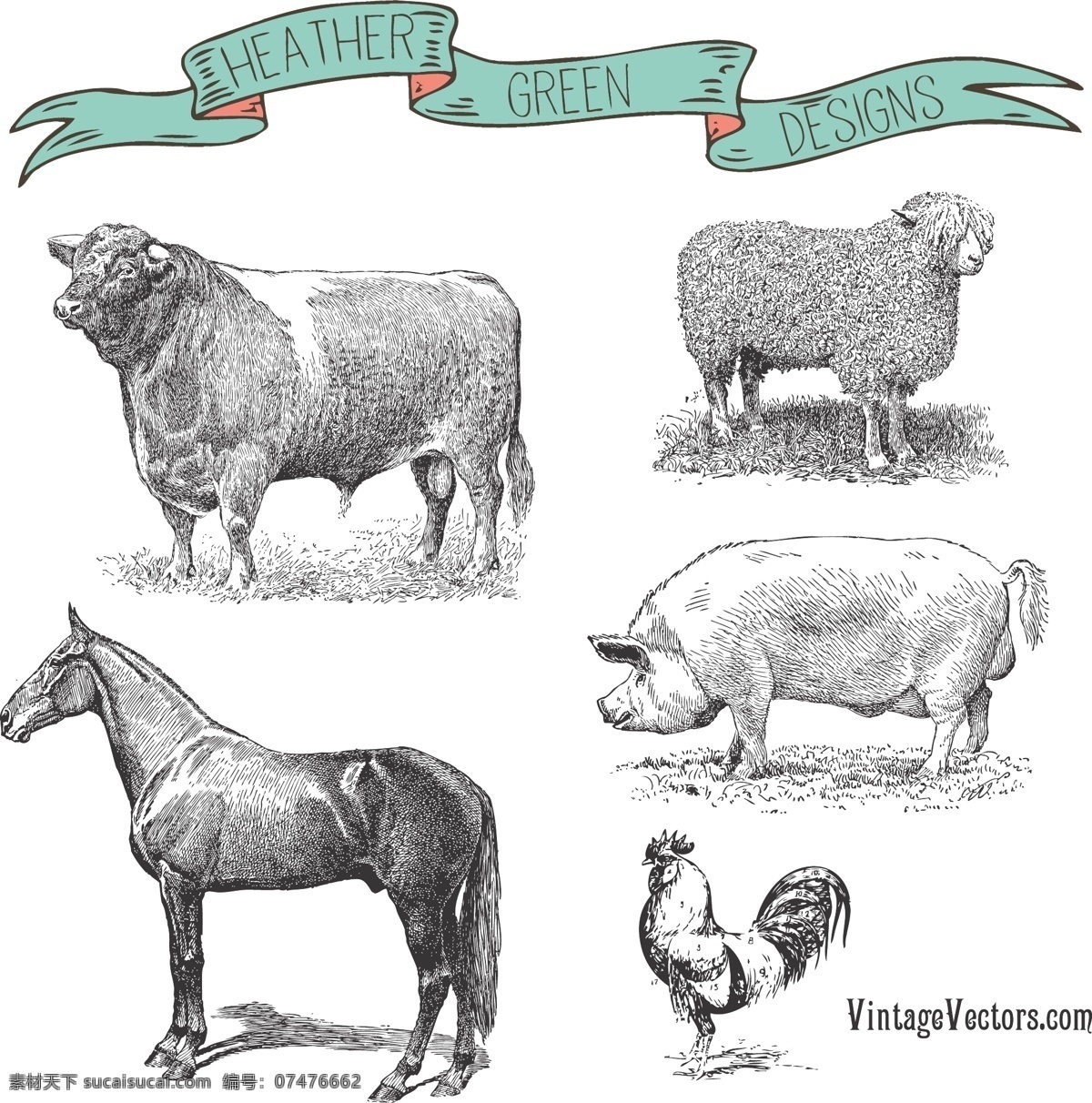 手绘 农场 动物 矢量 插图 鸡 牛 羊 猪 马 牲畜 媒介动物 矢量图 矢量人物