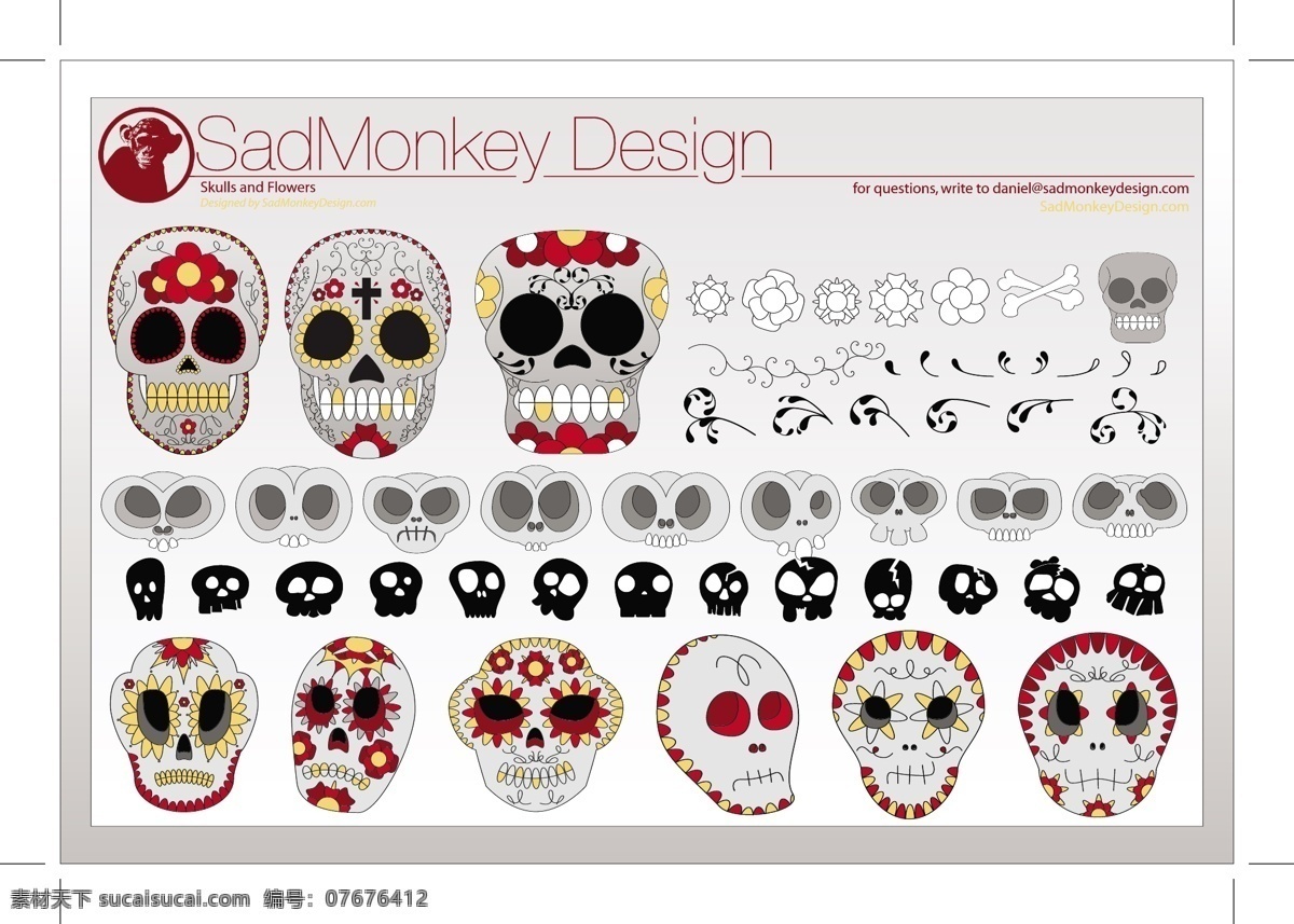 skulls and flowers 头骨 花 自然 载体 白色