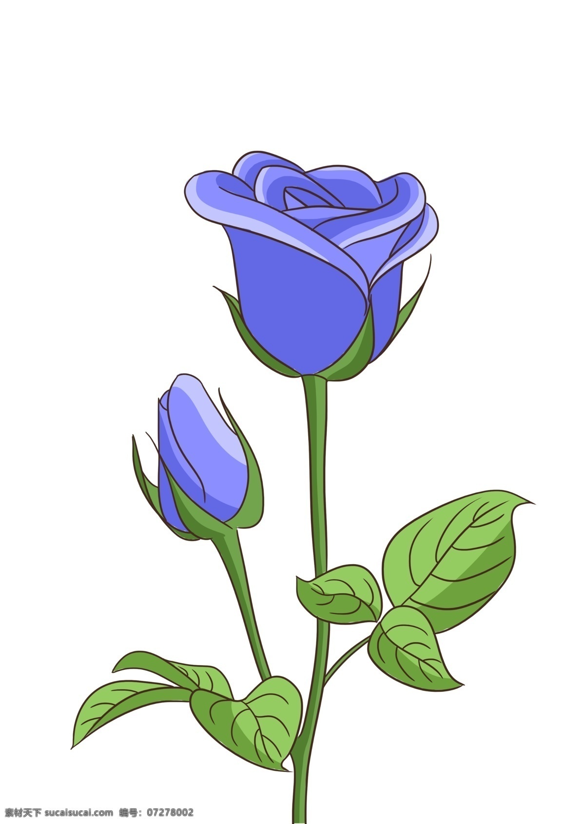 手绘 蓝色 妖姬 卡通 玫瑰花 玫瑰 蓝色妖姬 花朵 鲜花 分层素材 免抠图 分层