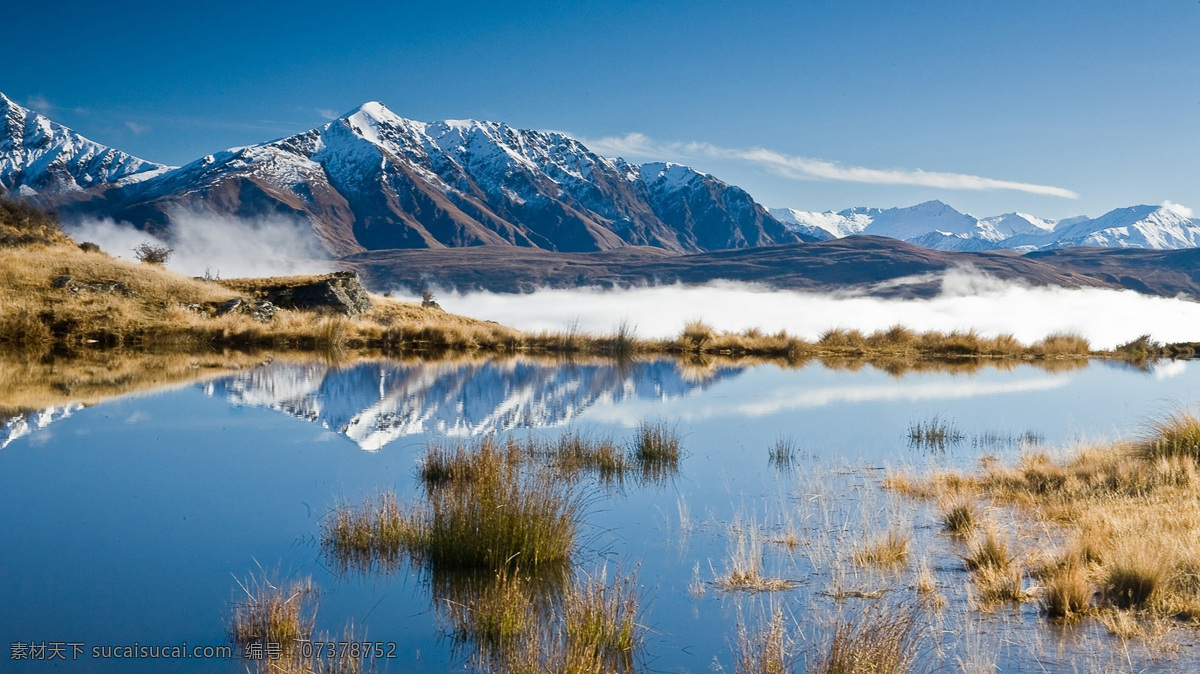 夏威夷 冬季 风景 优美自然风景 自然风景画 大自然风景 白雪 自然风光 自然风景 旅游摄影 自然景观 自然风景图 滨河公园 树林 山水风景