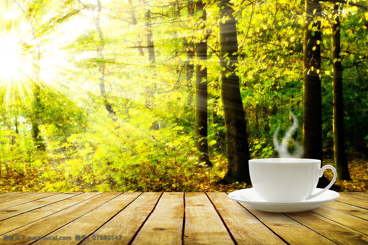 树林 阳光 咖啡 杯子 树林风景 咖啡杯子 木板背景 美丽风景 风景摄影 美景 美丽景色 饮料图片 餐饮美食