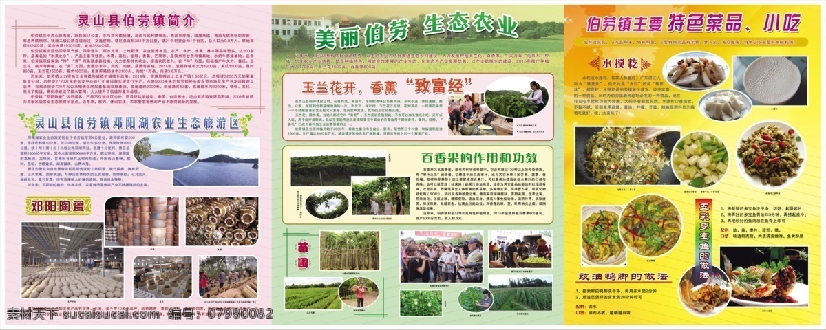 美丽 伯劳 旅游 美食 生态农业 文化 美丽伯劳 原创设计 原创展板
