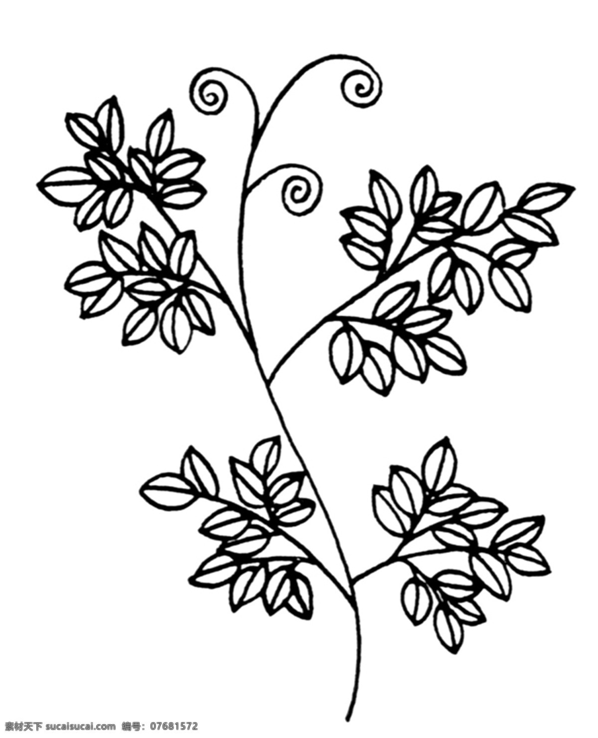 花草图案 现代 花纹 现代花纹 设计素材 现代图案 装饰图案 书画美术 白色