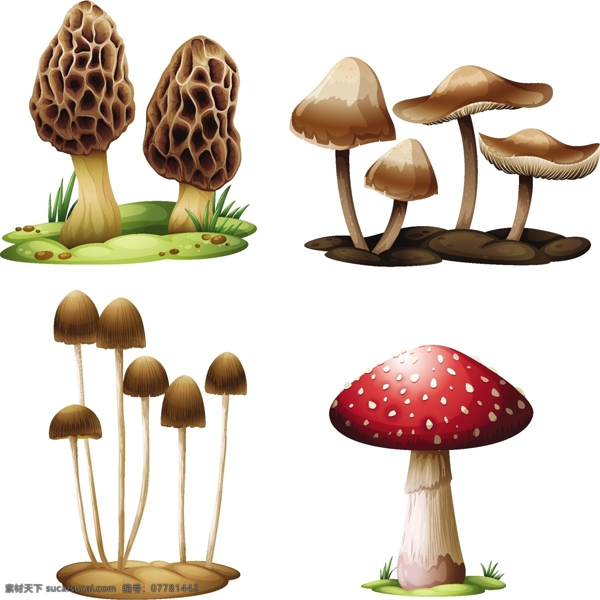 卡通 蘑菇 矢量 绘画 蔬菜水果 生物世界 蘑菇设计 矢量蘑菇 蘑菇素材 食物蔬菜
