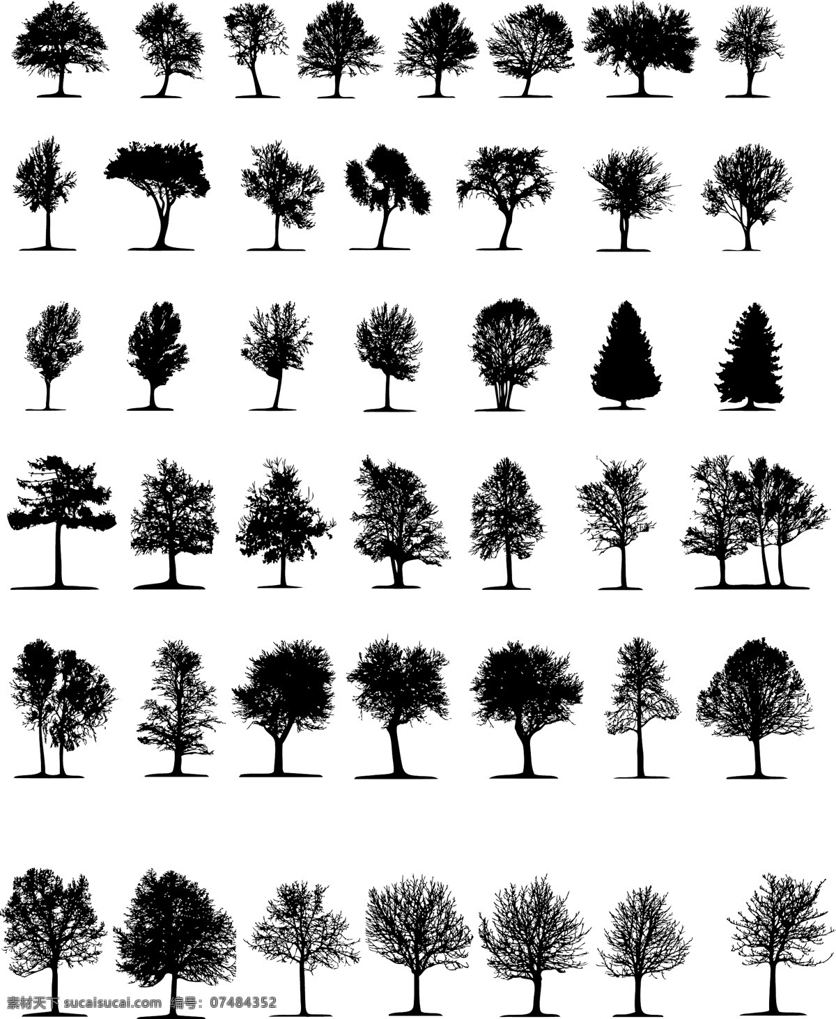 照片 中 树 元素 树木 其他载体 白色