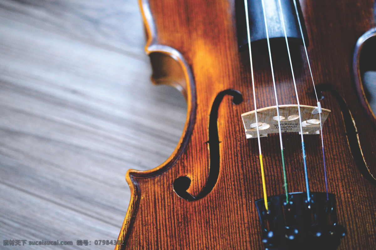 小提琴图片 小提琴 乐器 弦乐器 音乐 乐器特写 文化艺术 舞蹈音乐