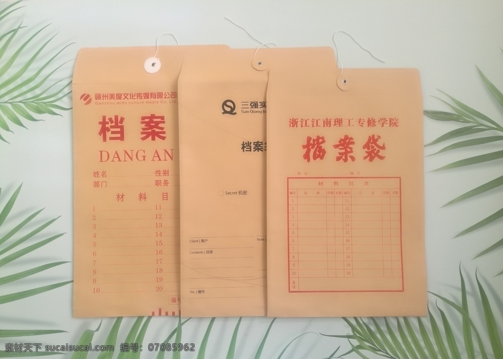 信封 档案袋 印刷 定制 档案袋印刷 公司档案袋 房地产档案袋 学校档案袋 单位档案袋 vi设计