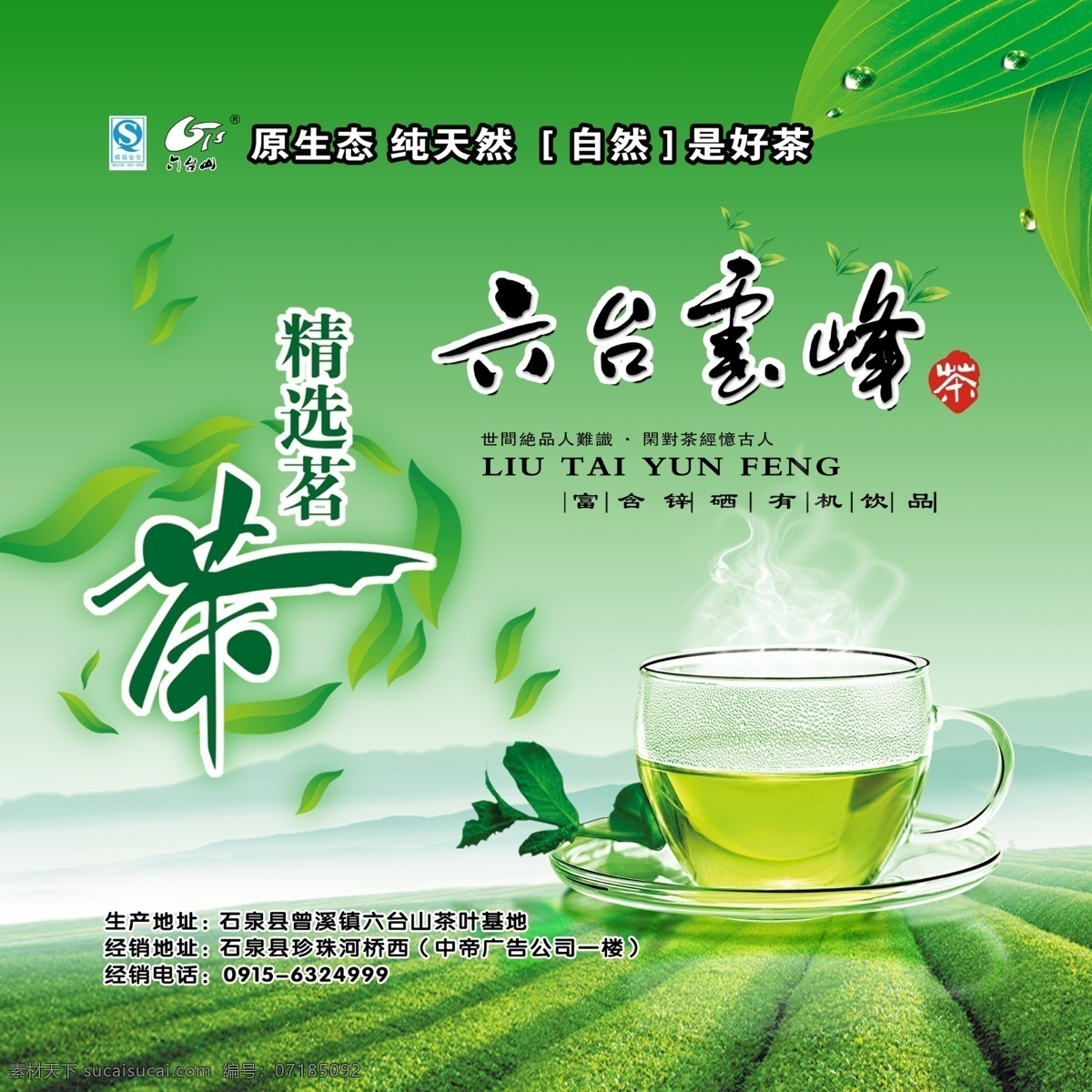 茶叶广告 六台云峰 茶叶园 茶林 茶杯 茶 茶叶 山峦 分层 源文件