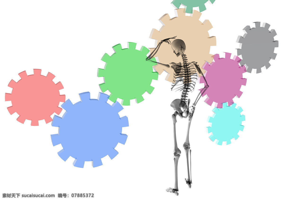 拼图 骷髅 素材图片 人物 人物素材 人物骨架 骷髅素材 骷髅摄影 人做结构 骨头 其他类别 生活百科