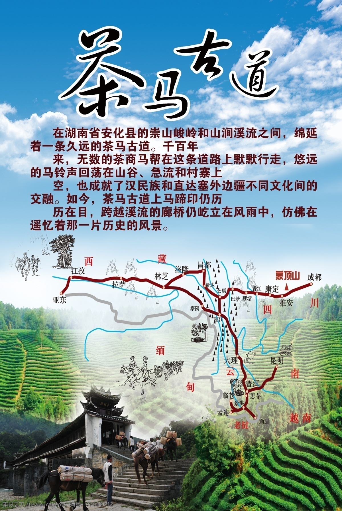 安化黑茶 茶叶 茶 华莱健 六大茶系 黑茶九大功效 金花 黑茶调理反应 黑茶产品 马古道 32个唯一