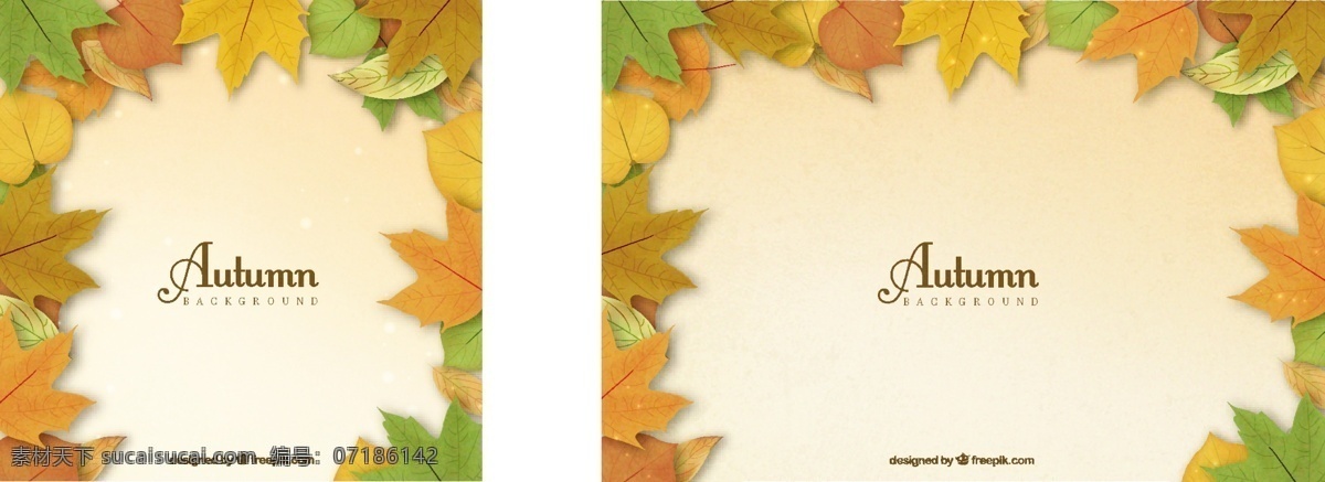 可爱 秋天 背景 五颜六色 树叶 自然 优雅 多彩的背景 现代 色彩 自然背景 现代背景 凉爽 温暖 秋叶 季节