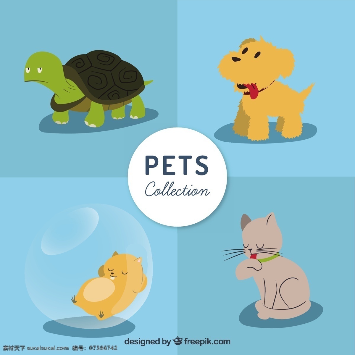 可爱 宠物 收集 房子 手 自然 猫 动物 手画 绘图 有趣 海龟 小狗 可爱的动物 画 野生 漂亮 草图 青色 天蓝色