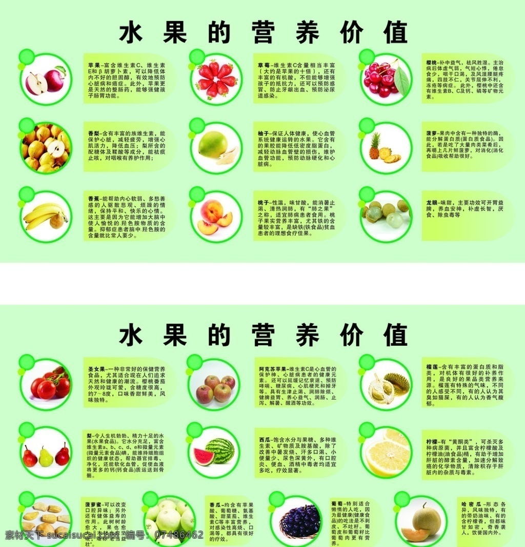 水果 营养 价值 营养价值 餐饮美食 生活百科 矢量