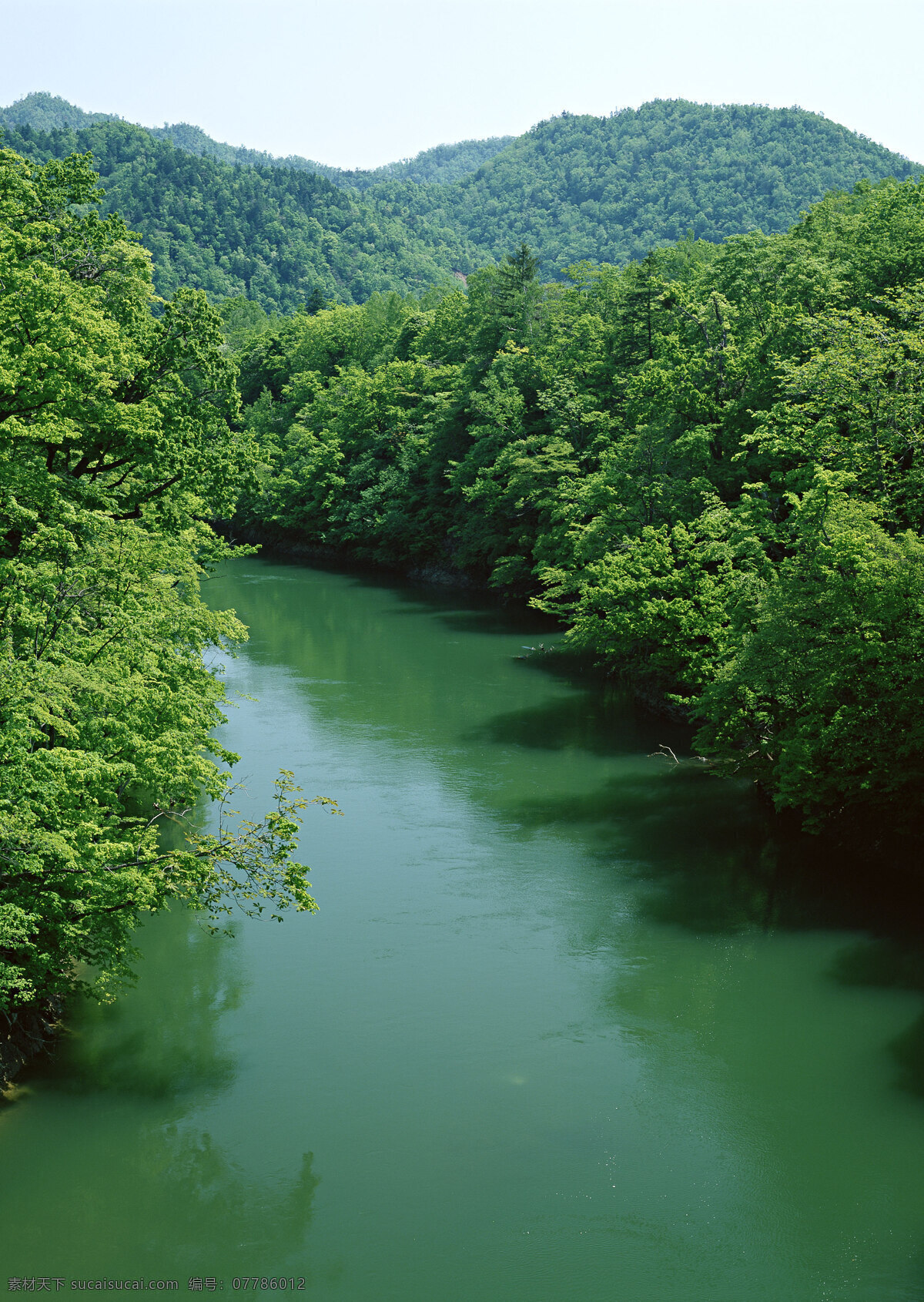 美丽 林间 小溪 美丽风景 自然风景 风景摄影 大自然 美景 景色 山水风景 树林 小河 河流 风景图片