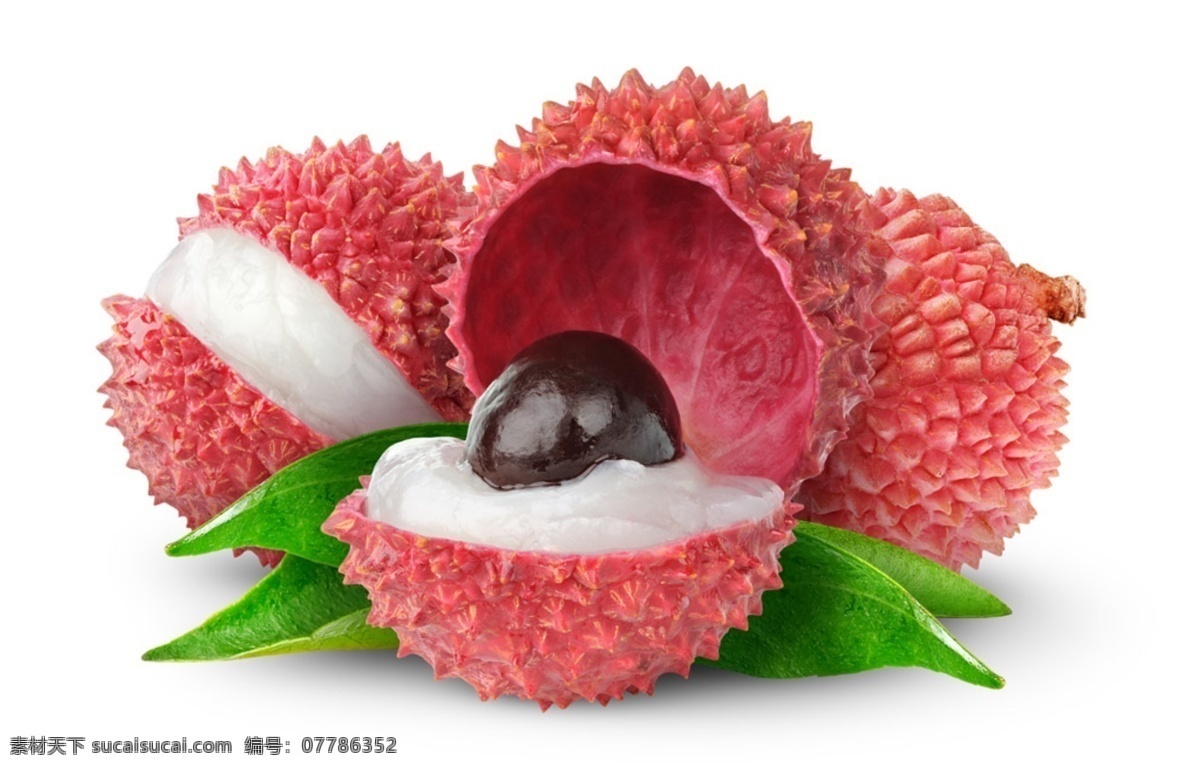 植物 果实 荔枝 食物 水果 美食
