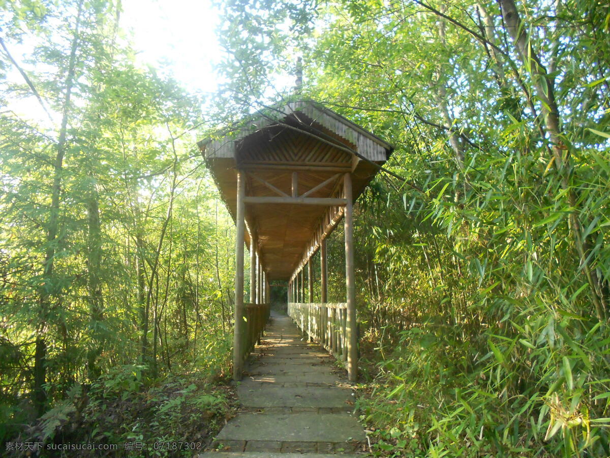 黄水 湖光山色 国内旅游 旅游摄影 石柱 阳光 竹子 走廊 黄水湖光山色 竹屋 矢量图 日常生活