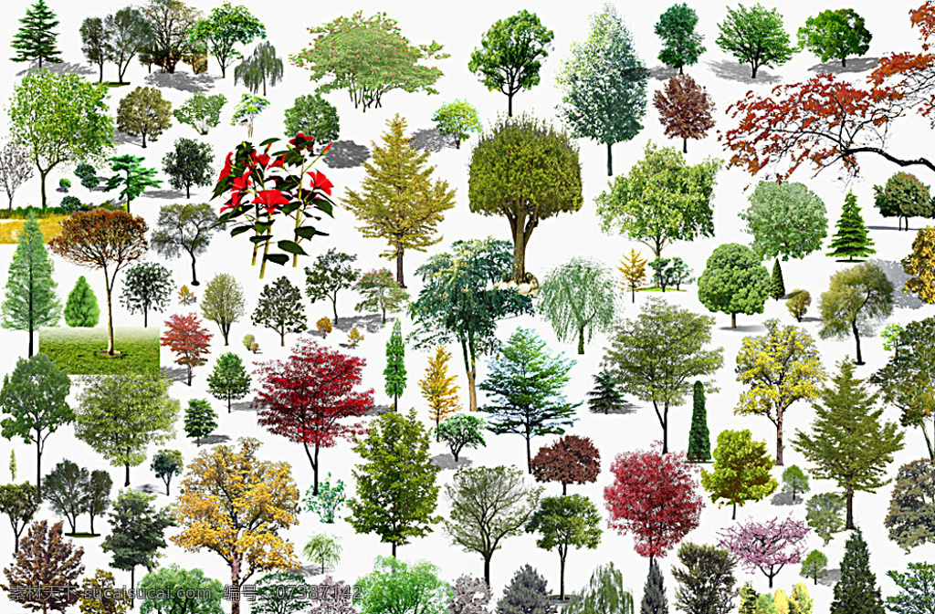 树木园林 风景树素材 绿色植物 植物素材 风景树 园林 景观 园林景观 植物造型 ps分层素材 抠图素材 抠图 后期素材 后期制作素材 后期制作 设计用图 设计素材 花木 共享素材 分层 白色