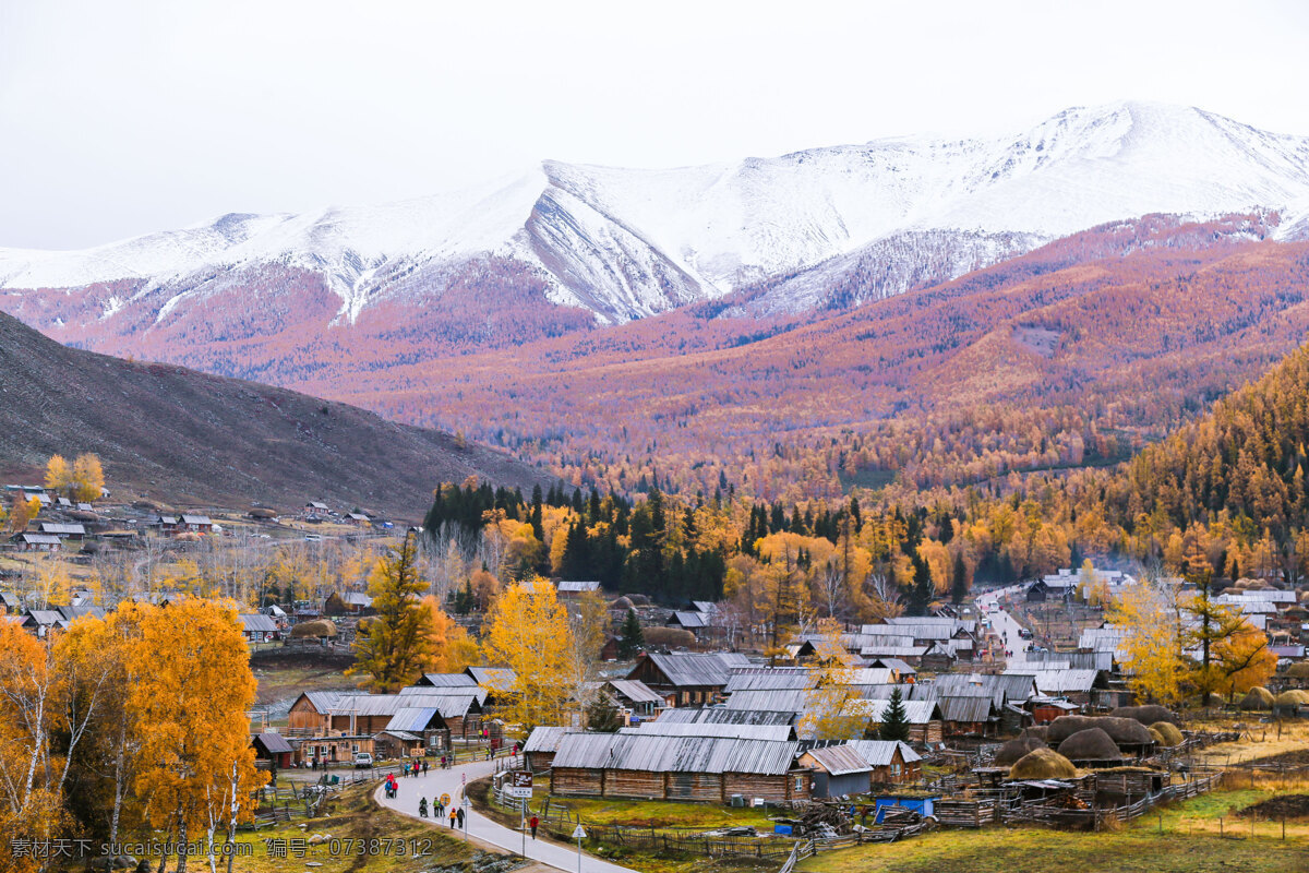 晚秋 喀 纳斯 风景