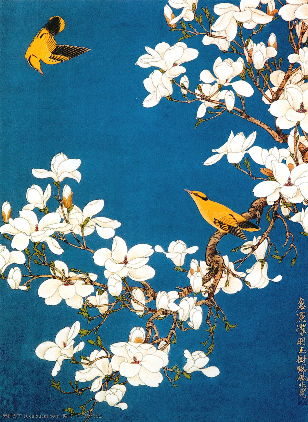玉兰黄鹂 花鸟 玉兰 黄鹂 工笔 传统画 中国现代花鸟 文化艺术 绘画书法