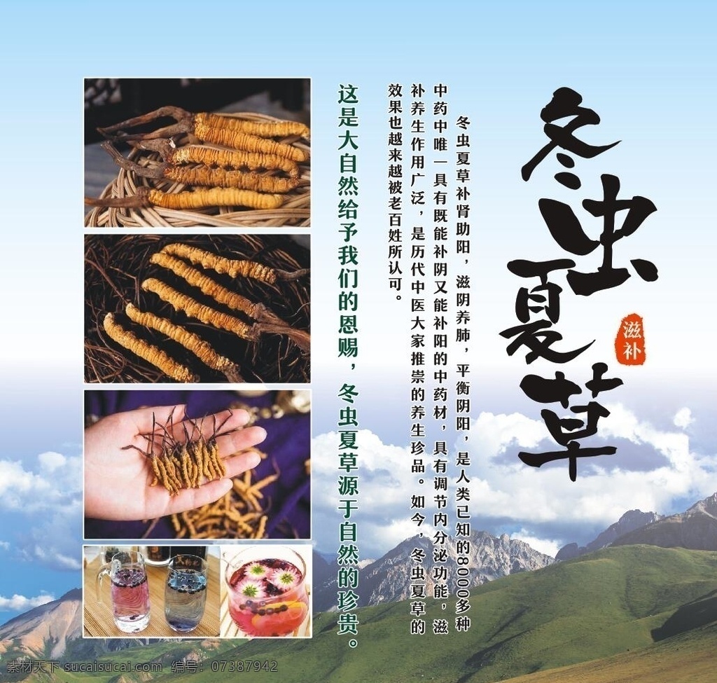 冬虫夏草图片 冬虫夏草 冬虫草 冬虫草展板 冬虫夏草展板 冬虫夏草海报 冬虫夏草宣传 冬虫夏草广告 冬虫夏草展架 冬虫夏草补品 正宗冬虫夏草 中药冬虫夏草 冬虫夏草灯箱 西藏冬虫夏草 冬虫夏草简介 冬虫夏草功效 冬虫夏草价值 冬虫夏草文化 野生冬虫夏草 冬虫夏草画册 冬虫夏草挂图 虫草 虫草海报 餐饮美食