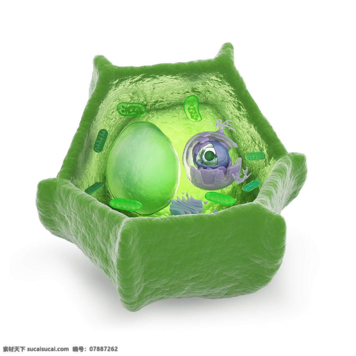 微生物 病毒 细菌 基因结构 医疗 基因 医学 现代科技 医疗护理 医疗图片 其他生物 生物世界
