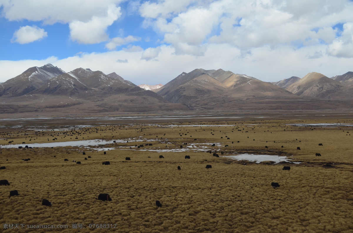 青藏高原 青藏铁路拍摄 西藏 拉萨 蓝天白云 雪山 牧场 风景 枯黄 冬季牧场 旅游摄影 国内旅游 灰色