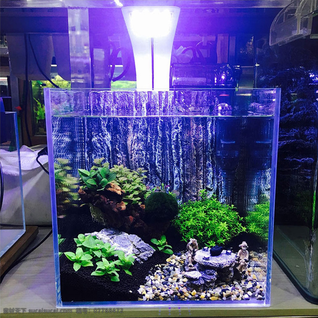 鱼缸水草灯 小型鱼缸 led灯 鱼缸造景 小夹灯
