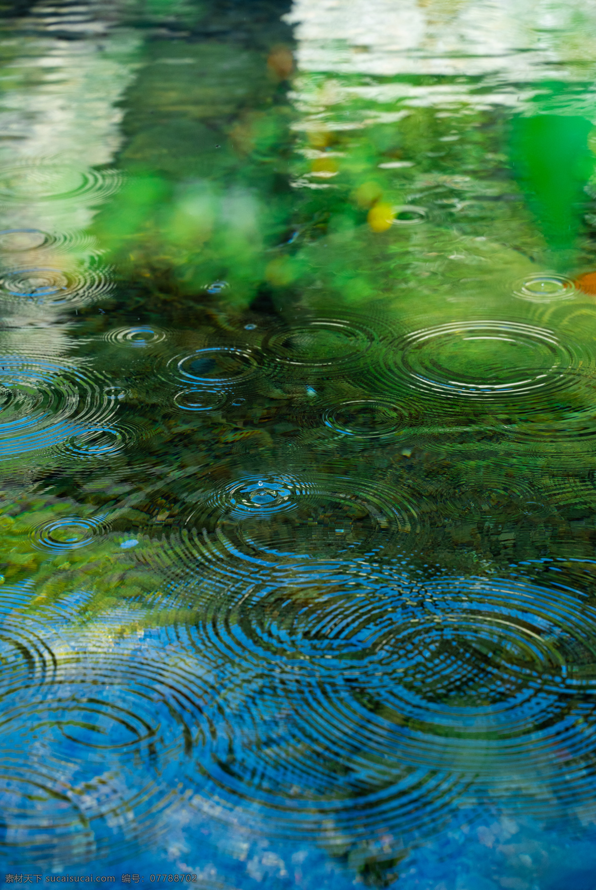池塘 水滴 水韵 夏季 绿色 清新 背景 背景素材