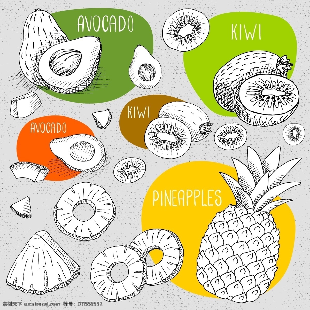 趣味 手绘 水果 插画 菠萝 牛油果 猕猴桃 热带水果