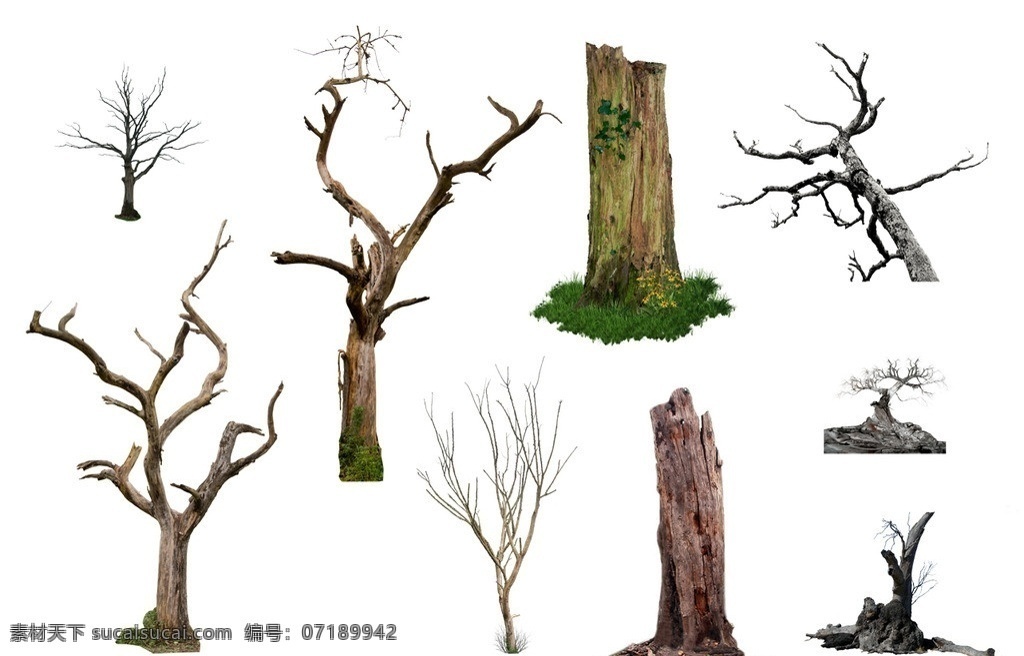 枯树 分层 树木素材 树木 树 大树 死树 枯木 枯萎的树木 落叶树木 木材 树木分层素材 设计元素 psd素材 集 源文件