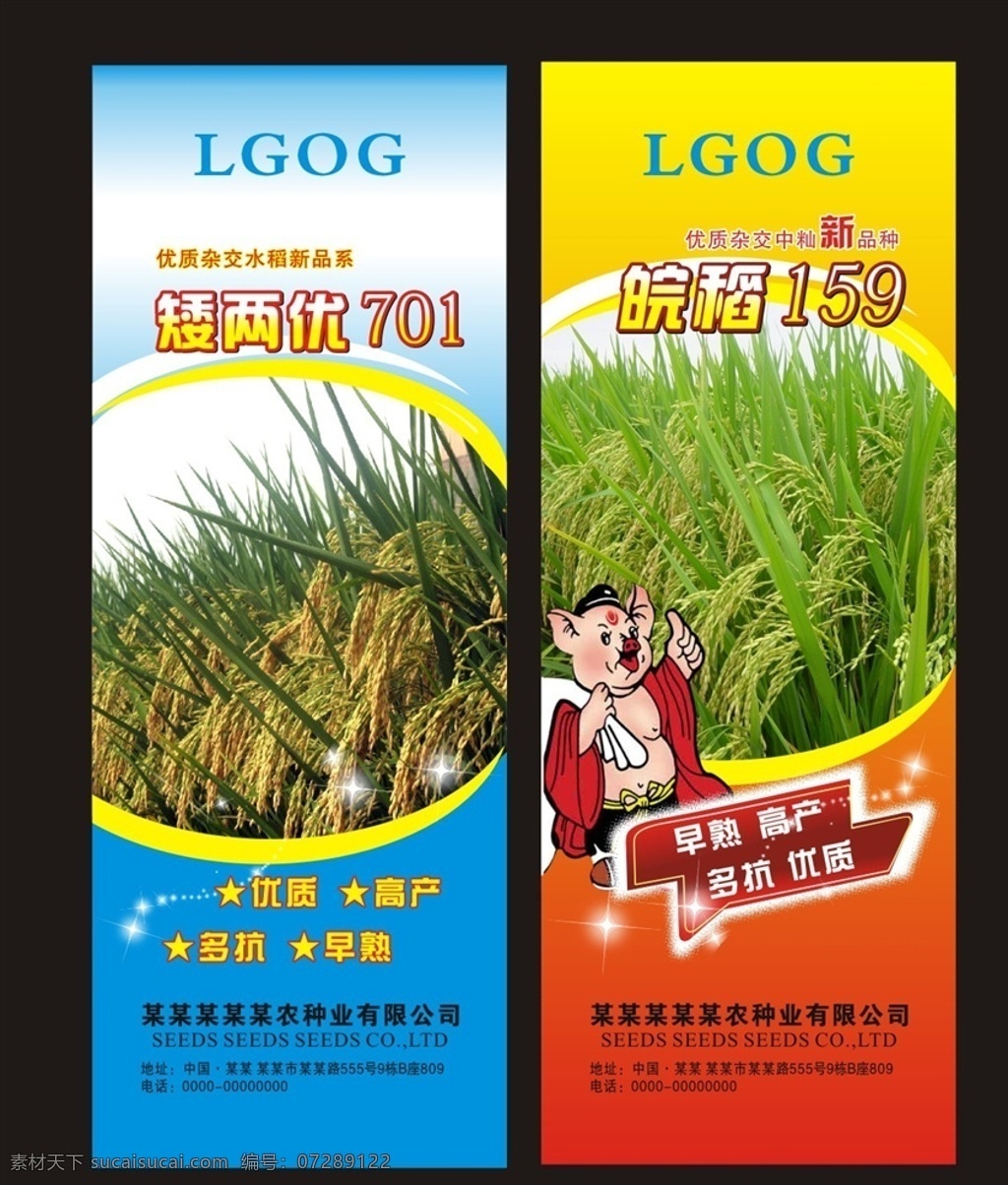 水稻展架 水稻易拉宝 水稻展板 水稻穗 稻穗 农业广告 农业展板 农业展架 水稻广告 水稻田 水稻图 水稻 展板模板
