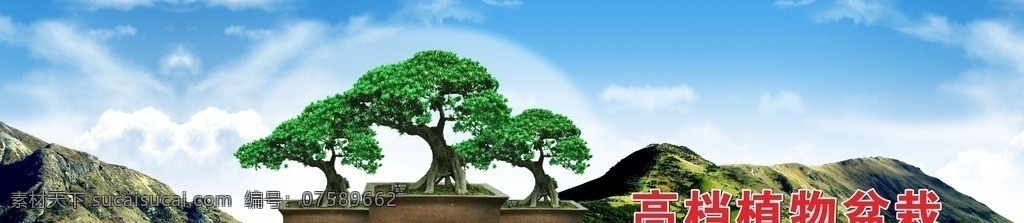 高档植物盆栽 松树盆栽 山 蓝天 源文件素材 海报 花鸟市场 矢量