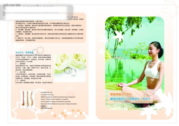 美容 健康 手册 矢量 矢量图 　 美女 人物 花纹 疾病