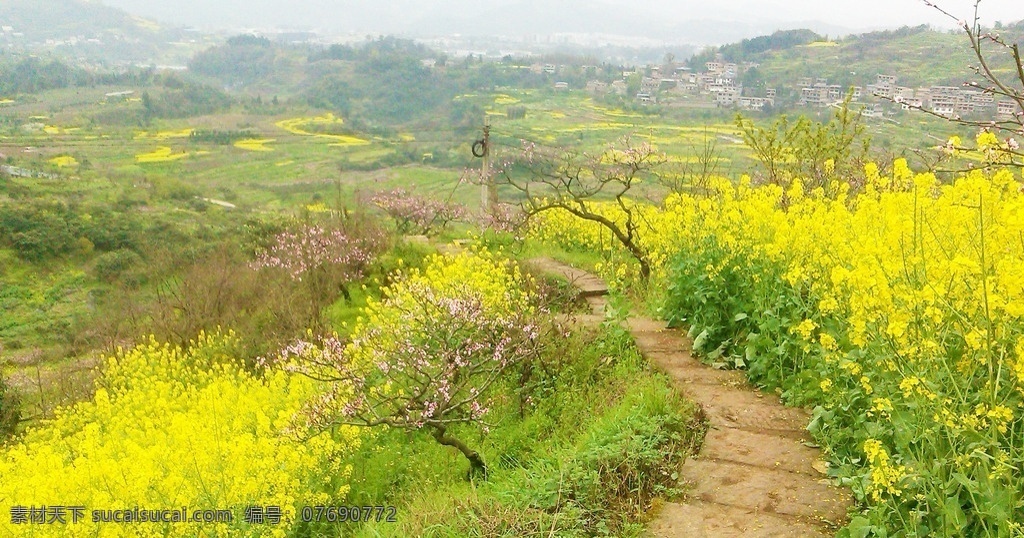 桃花山 油菜花 梨树 枇杷树 乡间小路 高山 梯田 田园风光 自然 大地 乡间 农舍 朴实 美丽 纯朴 雅安 沿途风景 国内旅游 旅游摄影