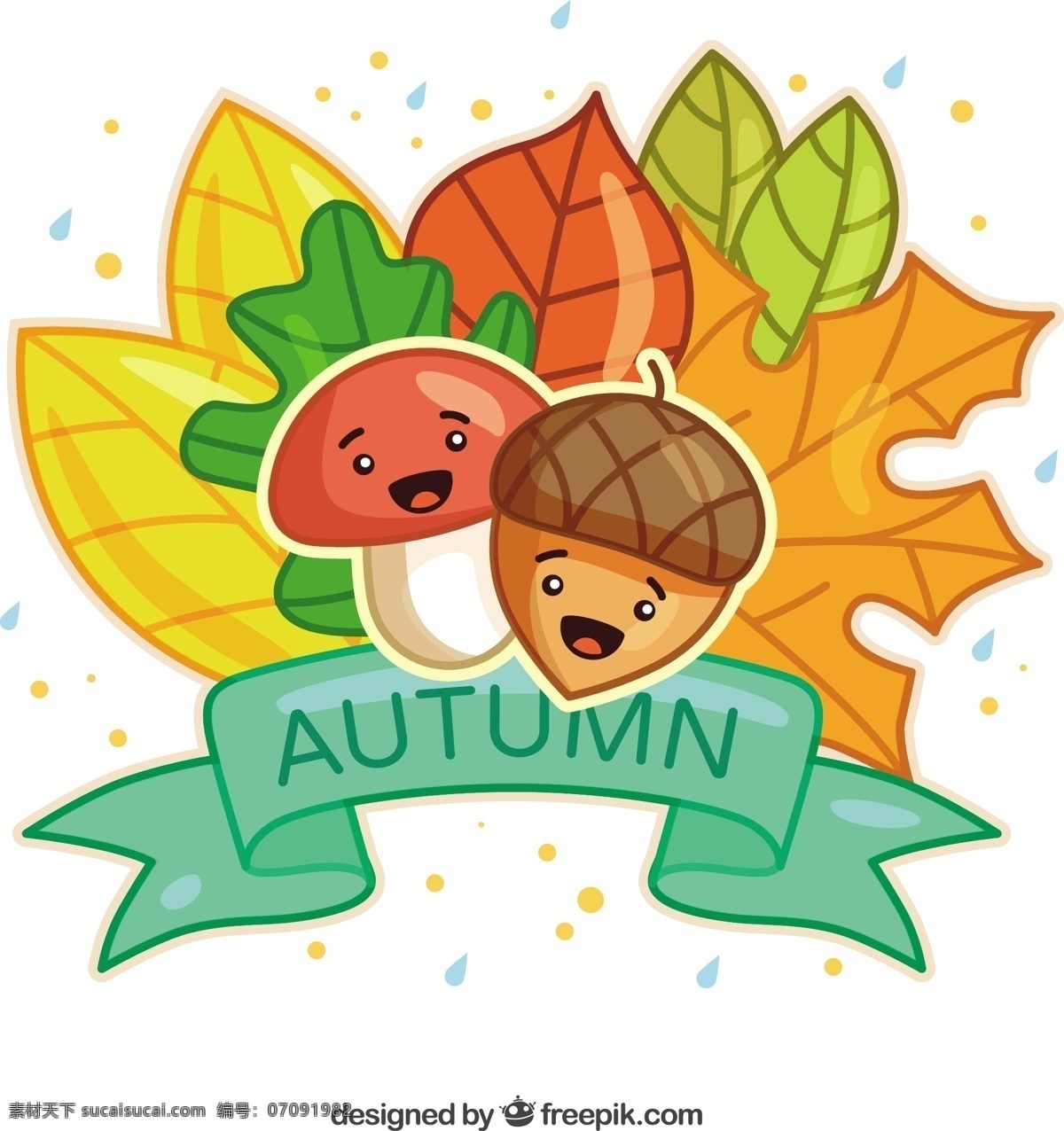 可爱 秋天 插图 自然 可爱的叶子 蘑菇 秋天的落叶 秋天的季节 季节 橡子 白色