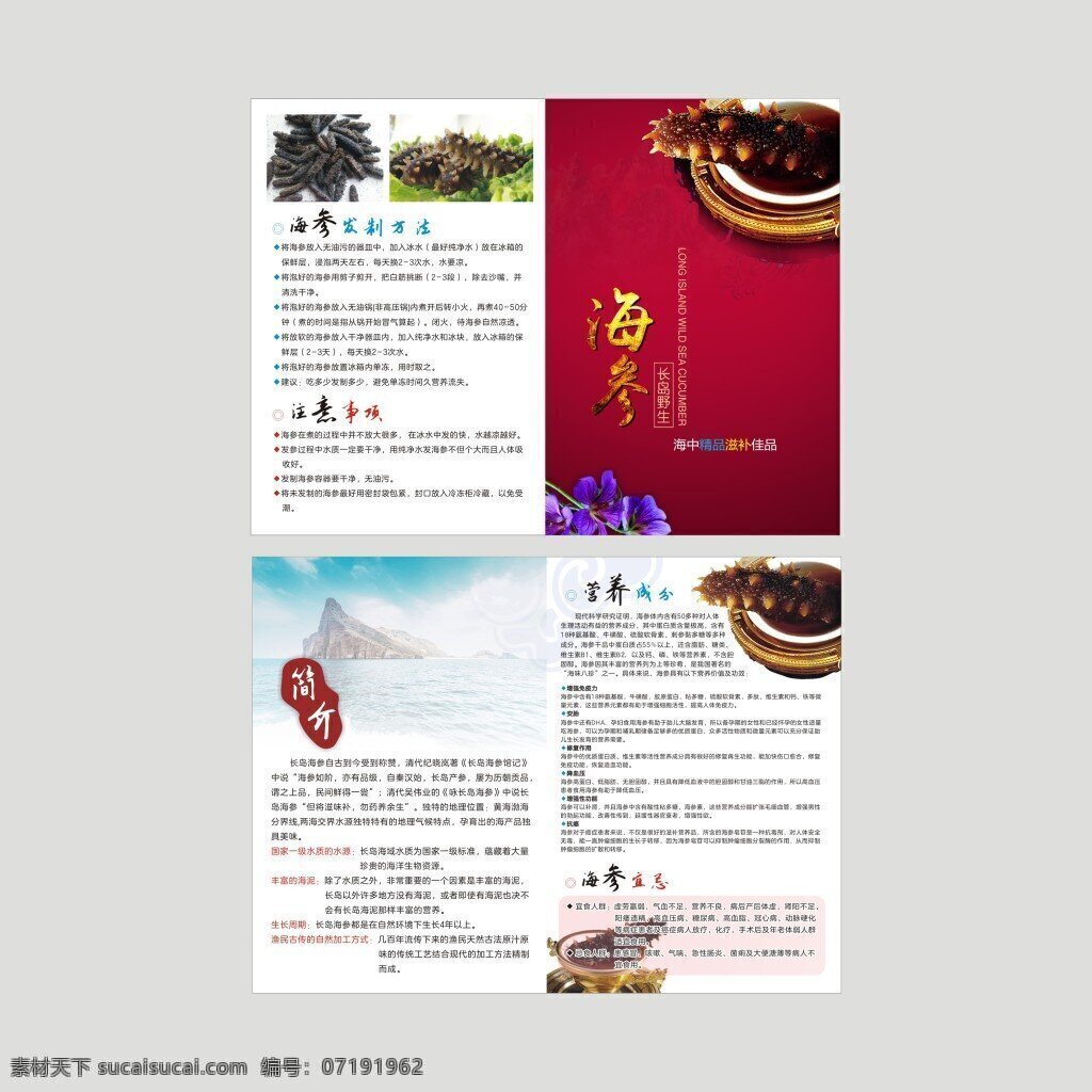 海参折页 海参 折页 海参介绍 海参制作 海参禁忌