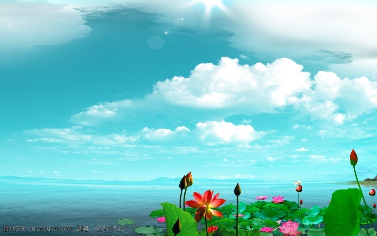 唯美 湖面 风景 晴朗天空 蓝天白云 湖面风景 荷花 莲花 自然风景 源文件