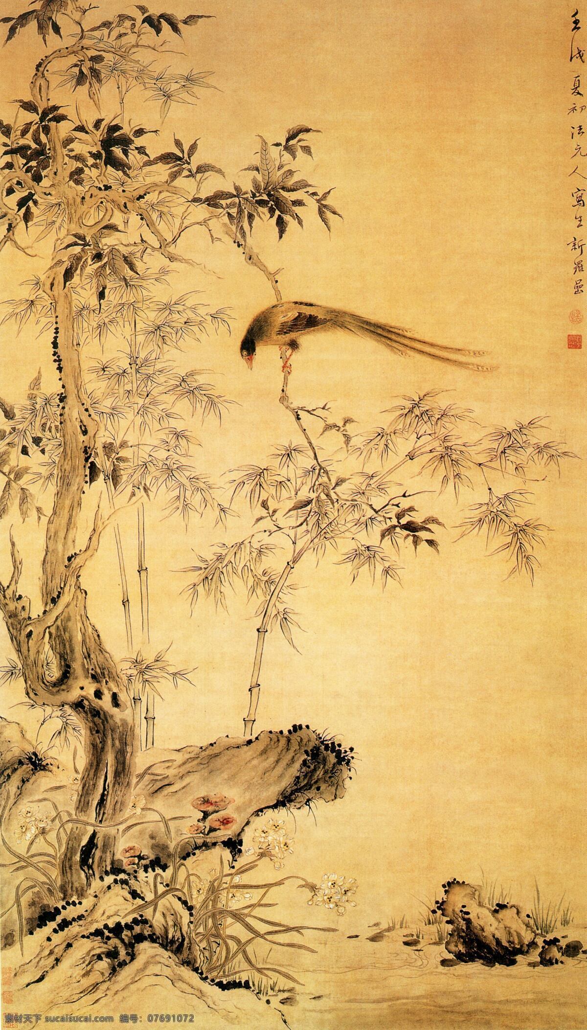 花卉 古典花鸟画 花鸟画 中国传世名画