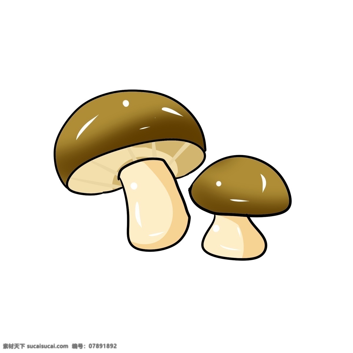 立体 圆形 蘑菇 插图 漂亮的蘑菇 菌类蘑菇 蔬菜蘑菇 图案蘑菇 营养的蘑菇 农作物蘑菇 有机蔬菜 卡通插图