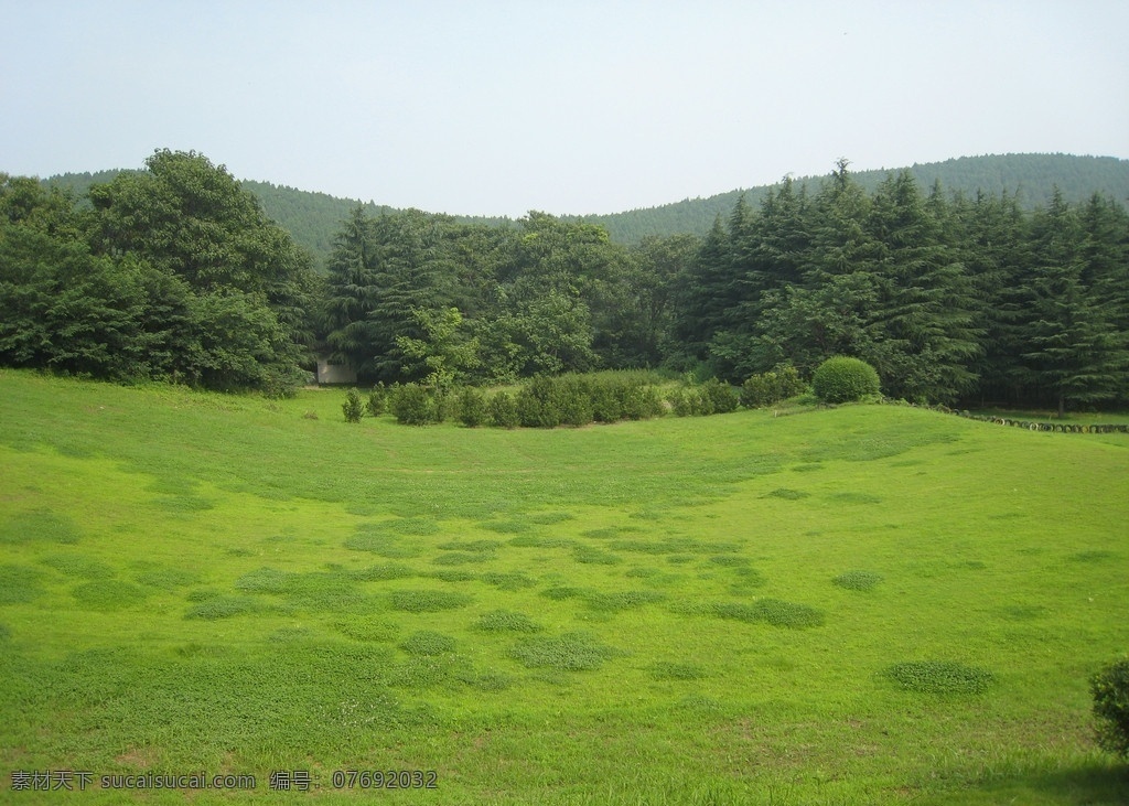 森林草地 森林 风光 风景 自然 原始 山水 树林 林木 山坡 山脉 山峰 草地 蓝天 自然风景 自然景观