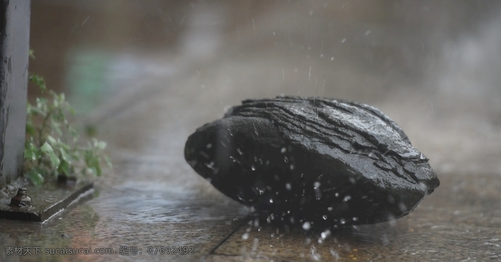 雨中的石头 雨水 大雨 石头 黑色 水滴 高清视频 尼康单反录制 多媒体 实拍视频 自然风光 mov